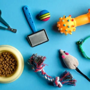 Pet Accessories