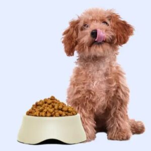 Pet Food